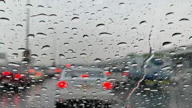 4a7da879e95a5a51a8da37253dab18e2