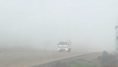 51912201852afc6fb 8b01 43e1 8d1f f1d918117aa0