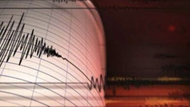 542EAD40 84D1 413E AD5B 8BA776D59D6D