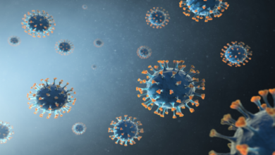 احتمال ظهور سلالة جديدة من "كورونا" ضعيف ولكنه غير مستبعد 8 63b7f1c44c59b74ada46dd4f