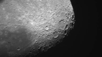 63c113144c59b73a932f5e3b