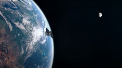 63c50a9a423604246e3bc4fc