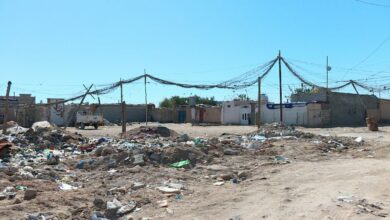 74DE844D 252F 4029 8759 FF187CE35D9C