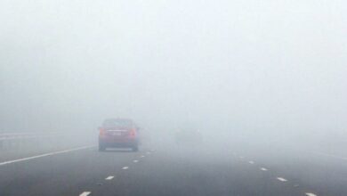 780CE3A8 17CD 4BF5 80B5 2B47028F290B