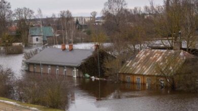 7F5484DB 950A 4D5F A1C9 1436B3F413C0