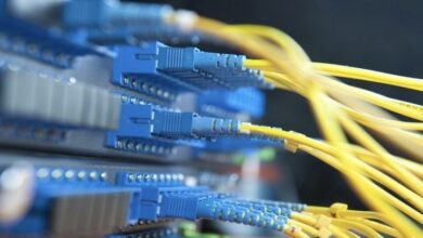 8F80E5E5 6F41 43BD B83D B454B7A3F993