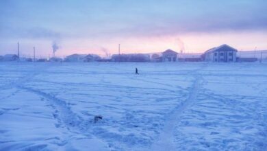 98761632 11905379 8288 4bd7 998f c9fb471dad5d