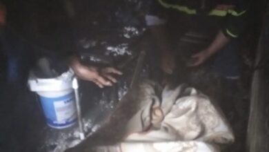 990D7BEA B583 4EFD 83BD 577B6E03A0CA