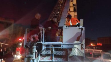 9C0F96EF 99C7 460D 882B 7D2E83E31BF0