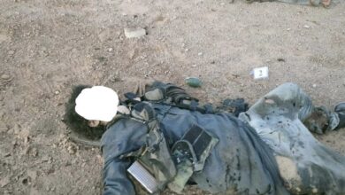 BACFB825 DB0A 423E B322 9B38E6949A0B