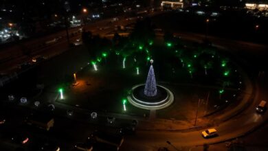 C05DC296 4C2A 493A 9DA8 650C6A235B2E