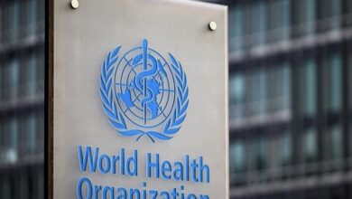 D75BAA3D 167E 410C 947E 2B52975EC562