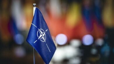 DD95AD8A C824 41CE 9210 CD5C862B25C7