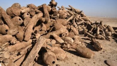 E0E1CCF9 649B 42F3 BF42 9F0EF767D2F1