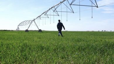 EB32D30D A2A2 4619 8FE6 6B13E2D35D34