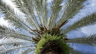 FCE7449E 590C 468D 9BEC F5A137916F4C