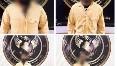 FD95D93B 93CF 4917 BAE6 03BAC1E065D1