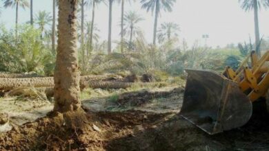 IMG 20230103 140911 014