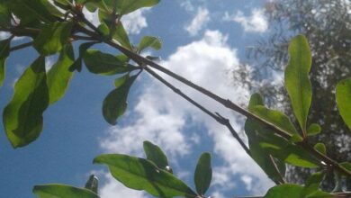 IMG 20230122 101130 705