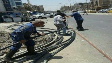 IMG 20230126 121058 713