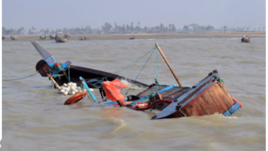 IMG ٢٠٢٣٠١٠٥ ٠٨١٥٢٥