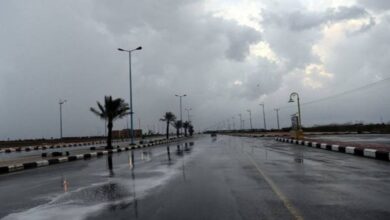 IMG ٢٠٢٣٠١٠٧ ٠٩٥٠٣٩