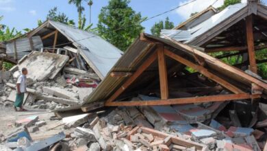 IMG ٢٠٢٣٠١١٠ ٠٩٥٠٠٩