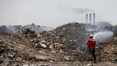 IMG ٢٠٢٣٠١١٠ ١١٥٢٣٩