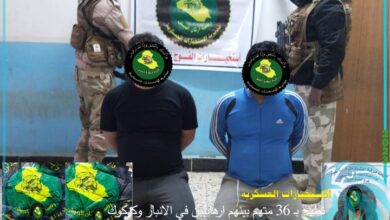 IMG ٢٠٢٣٠١١٢ ٠٩٠٣٤٧