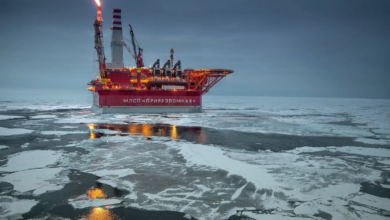 IMG ٢٠٢٣٠١٢٥ ٠٧٤١٥٤