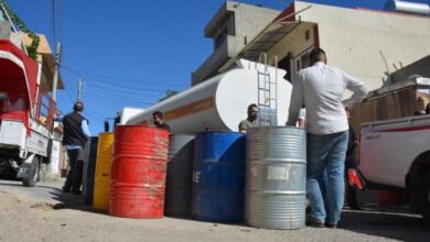 IMG ٢٠٢٣٠١٢٥ ٠٩٢٣١٧