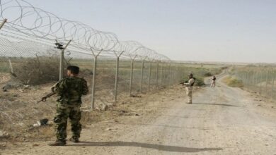 IMG ٢٠٢٣٠١٢٥ ٠٩٣٩٤٣