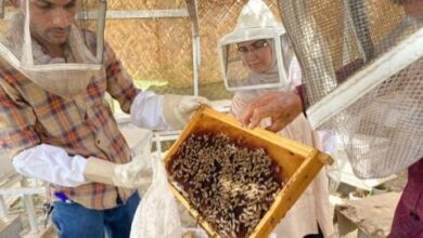 upload 1674147141 1022163049