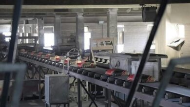 upload 1674309705 1771270369 1