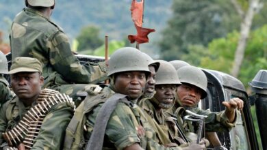 03A42BB5 E9CD 4153 83EF 94EB61115B75