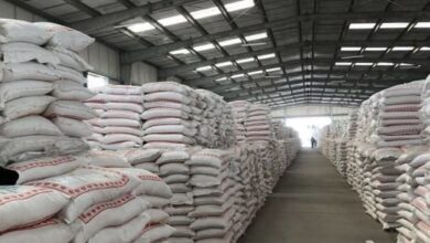 0535FA35 BDF4 401A 8EB9 A7C8092E7F5C