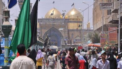 26F84217 4E53 46BE 8F4B 9517EDE12662