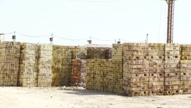 330775062 3521656031452306 4573655890054426901 n