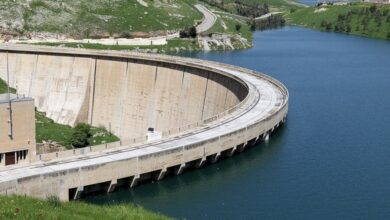 3B361FC9 7F42 4C09 A6D2 44B60F2CF9C0