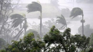 انقطاع الكهرباء عن آلاف المنازل في نيوزيلندا جراء عاصفة استوائية 4 3c7ffffe bb04 40dc 87f9 4d7524b98974