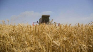 44f52a1de 57745 202104131044 810x456 1