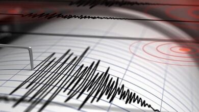 486E49B8 3BB3 44D5 9DD0 02BC436DE1E8