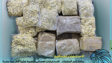 الاستخبارات العسكرية تضبط 10 آلاف حبة مخدرة و4 كيلوغرامات من مادة الكرستال في الرطبة بالأنبار 4 5DC5BF1F 1940 4DC9 ACEF E79450822353