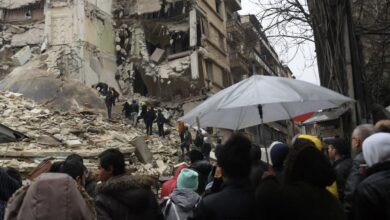 614299ED E05A 4750 83F7 75F9E926FAD4