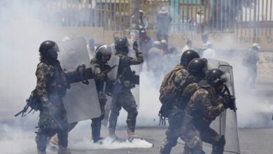 63c23e504c59b77e7a22b2e7