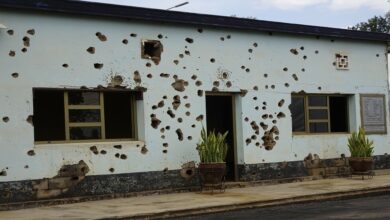 63e9387d423604741d7a2324