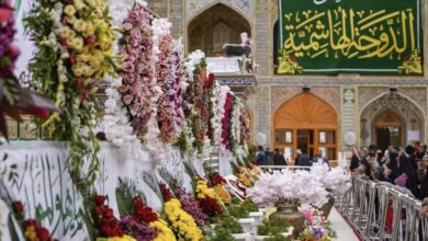 6479F6CE 5D87 478B A172 D6FD6A4BAD61