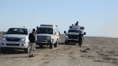 8E9197CC ABD6 4EA3 ABDA FB3B206505C9