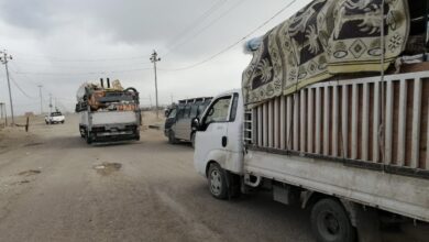 99AD02F6 8E8D 48AA 9DEA 759383FEDF13