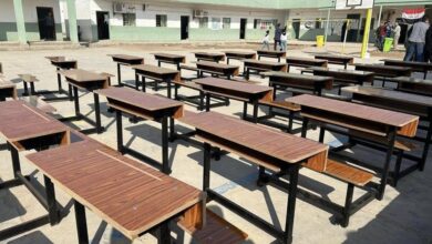 9D7D054B 9A87 4FEB 8084 417A7FFB2CAB